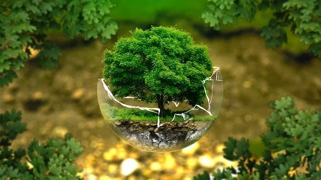 Ecologia: uma nova visão da realidade