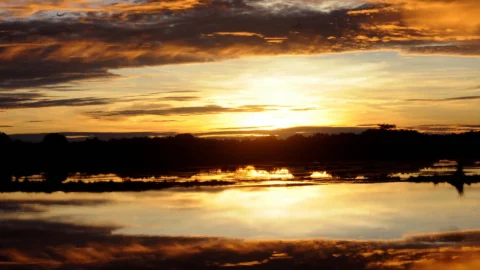 Do antropoceno ao ecoceno