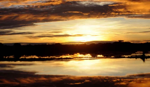 Do antropoceno ao ecoceno