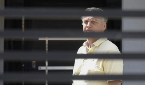 Novembro de uma primavera maravilhosa