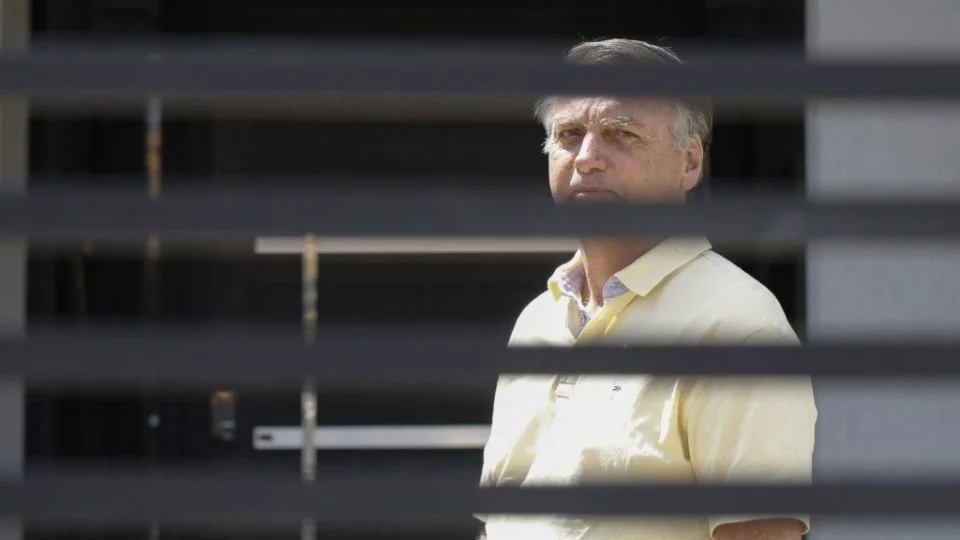 Novembro de uma primavera maravilhosa