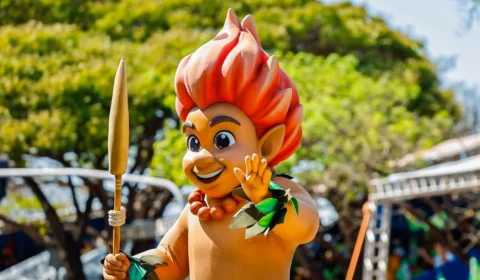 Castro sugere derrubar todas as árvores para acabar com desmatamento