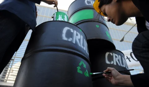 COP 30: uma nova chance para a redução dos gases de efeito estufa?