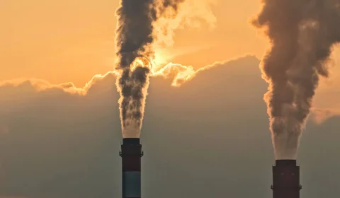 Carta ao Leitor – Um lixão de carbono