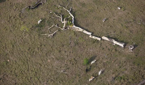 Carta ao Leitor – Colapso em 3 dimensões