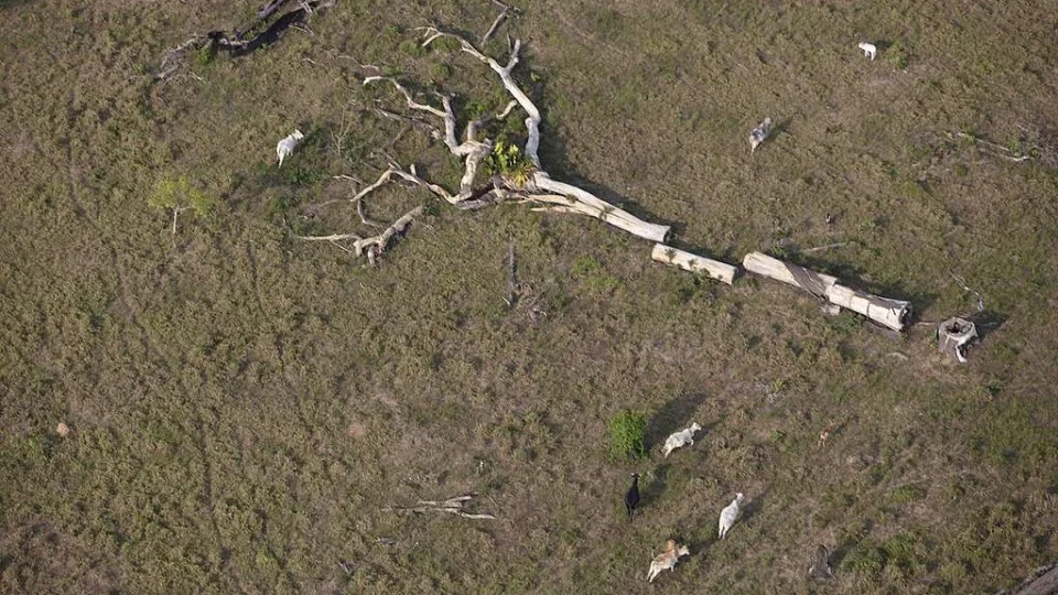 Carta ao Leitor – Colapso em 3 dimensões