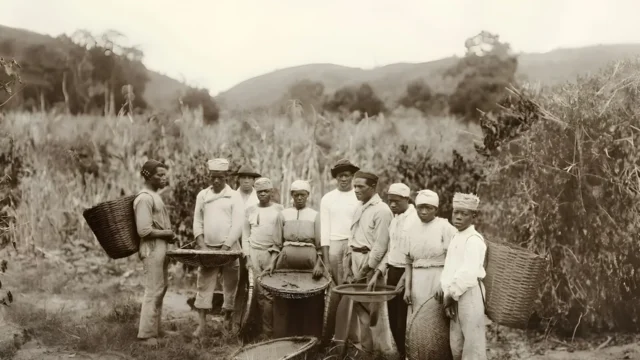 A desumanidade dos escravocratas de ontem e hoje