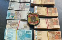 A percepção da corrupção no Brasil