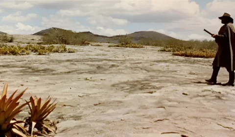 A gloriosa vingança contra os assassinos da cultura