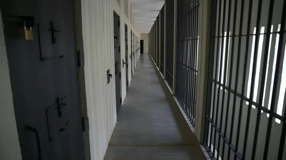 A amarga gaiola de ouro