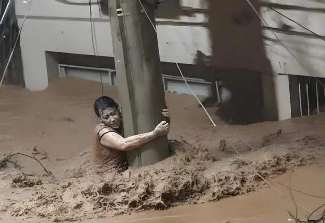 Foto da Semana - Reprodução