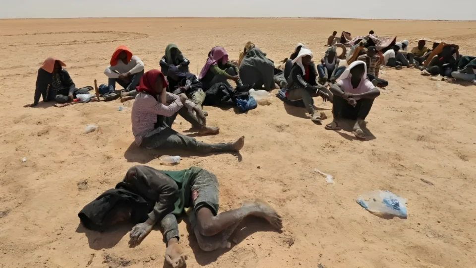 O fracasso ético e moral da humanidade                                   