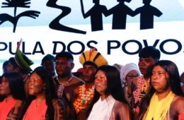 A Cúpula dos Povos Originários: o Condor e a Águia