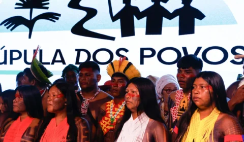 A Cúpula dos Povos Originários: o Condor e a Águia