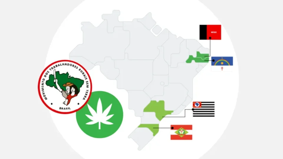 MST pretende cultivar Cannabis para fins medicinais