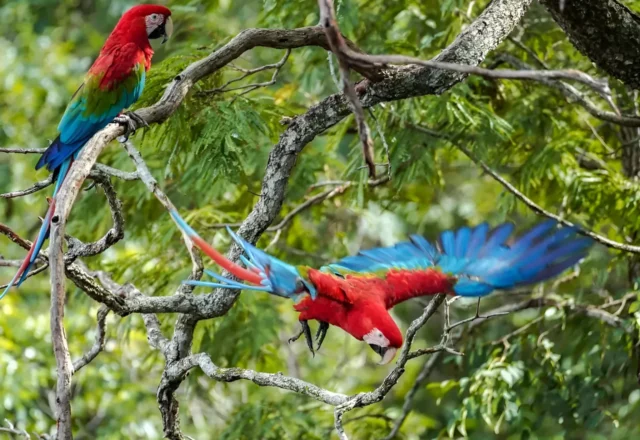 Foto da Semana - Rafa Neddermeyer/Agência Brasil