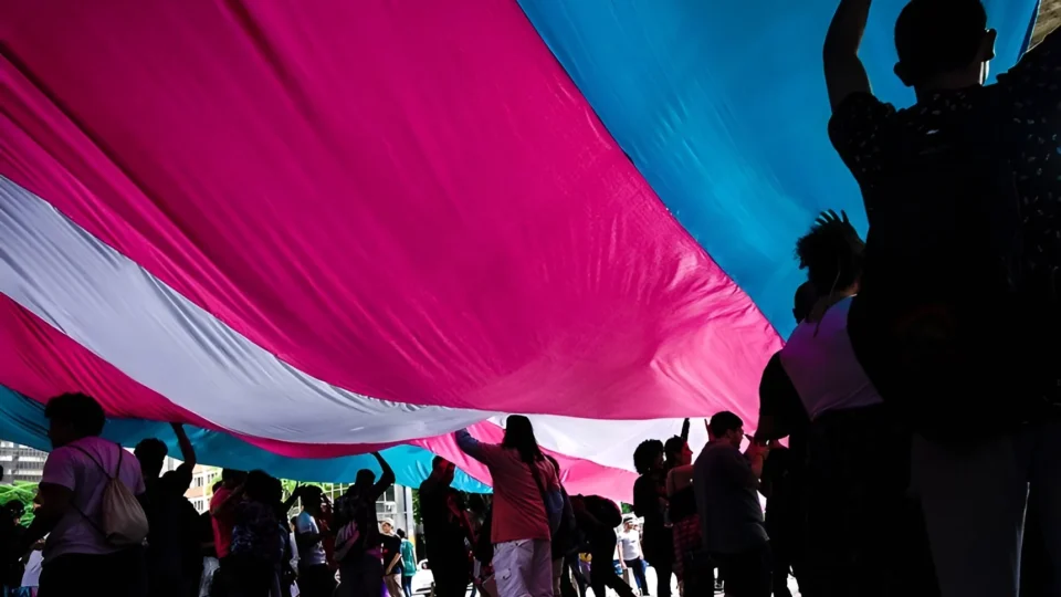 O subtexto transfóbico nas críticas ao PL da Misoginia