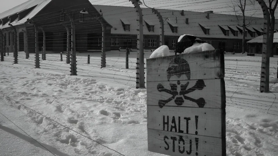 São Trump e Netanyahu homens?