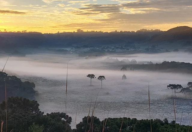 Foto da Semana - (agner Urbano/Folhapress)