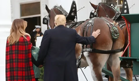 A charrete do apocalipse latino-americano 