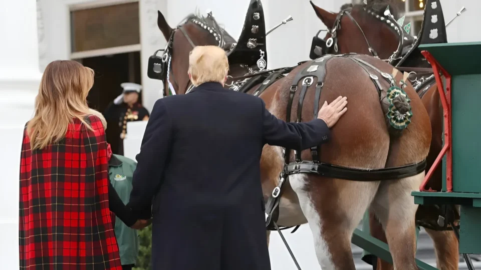 A charrete do apocalipse latino-americano 