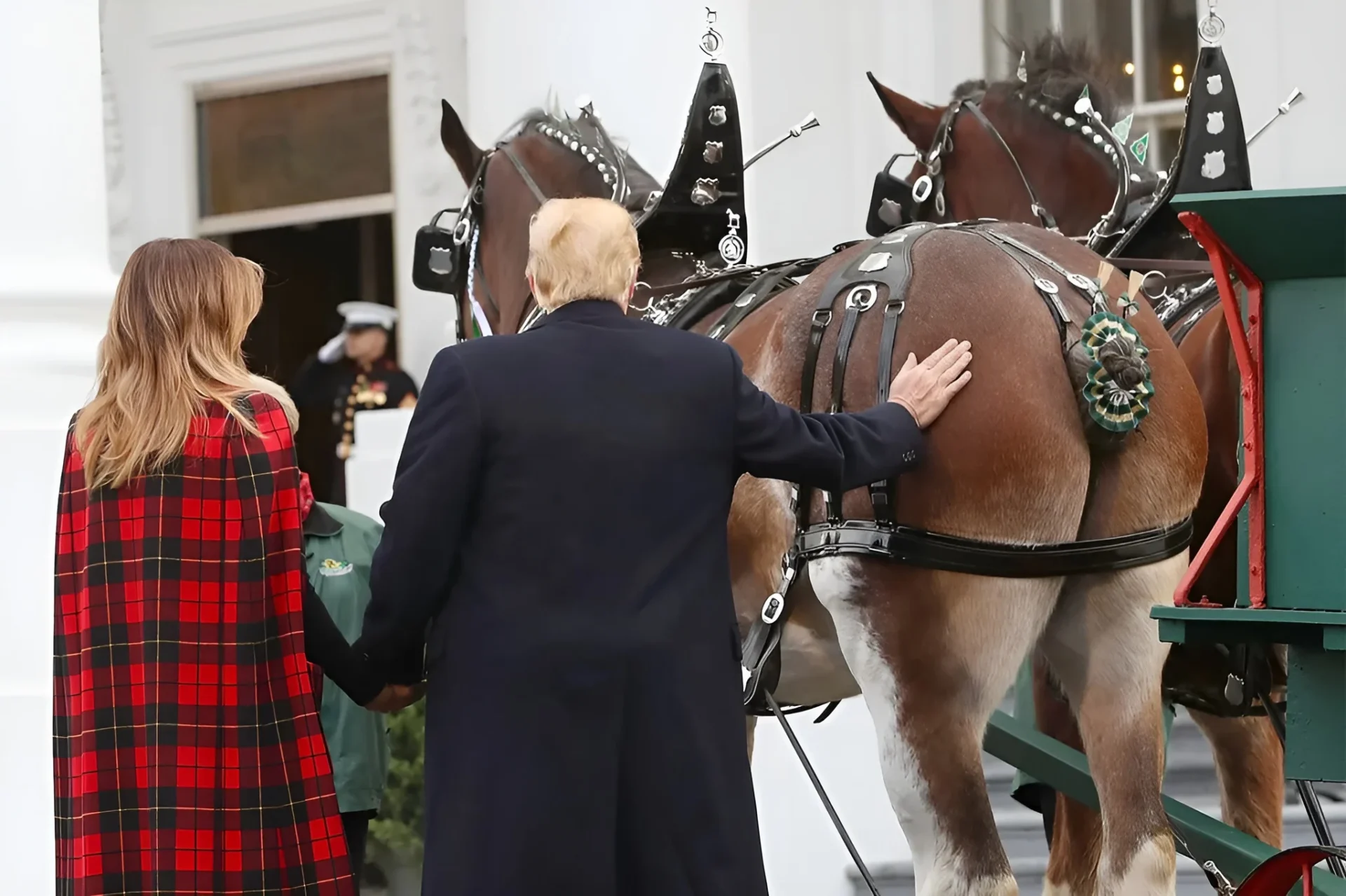 A charrete do apocalipse latino-americano