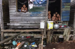 Brasil pode vencer a Copa da Renda Básica