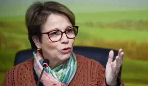 Tereza Cristina já articula pesado para disputar a cadeira de Alcolumbre