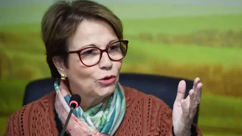 Tereza Cristina já articula pesado para disputar a cadeira de Alcolumbre