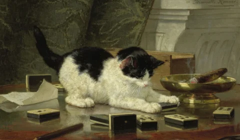 A energia curativa dos gatos domésticos
